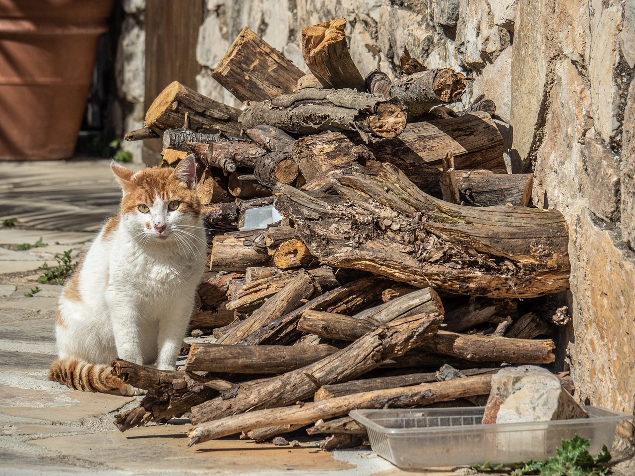 RA 신청을 위한 필수 체크리스트 알아보자