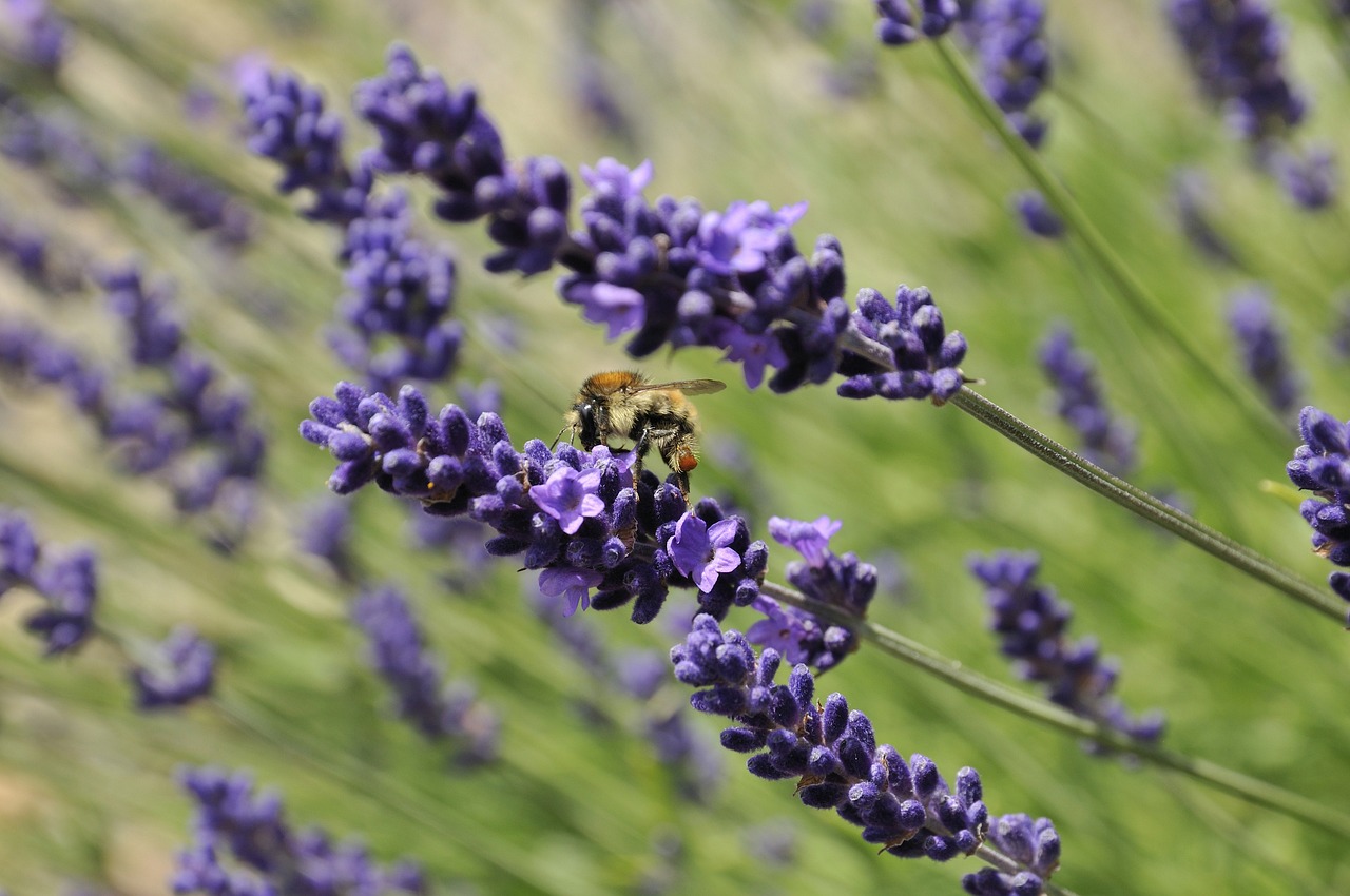 양육비 증액 신청 방법 알아보자